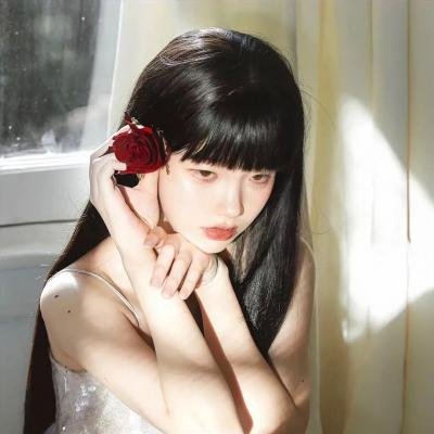 猫和老鼠:海盗寻宝