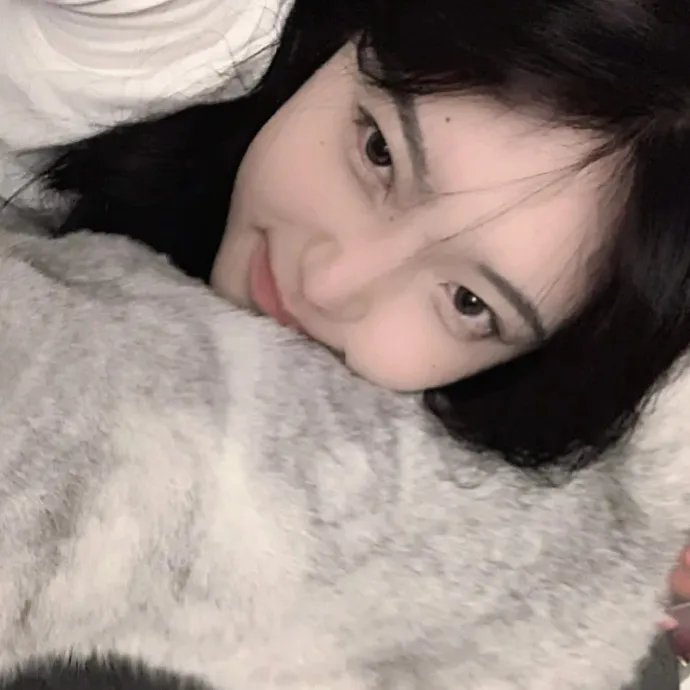 双生契 在线观看